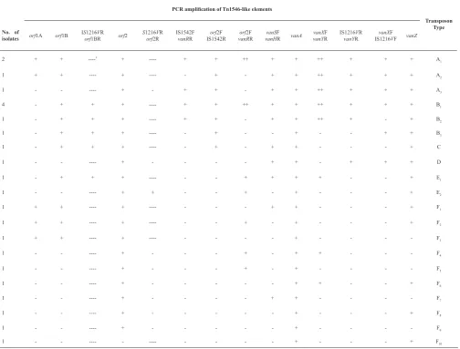 Table 3. +, amplicons the same size to prototype, ++, amplicons larger than prototype and -, absence of an amplicon with particular primers.* PCR reaction was not performed.