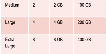 Figure 1: Typical virtual machine types offered by cloud providers 