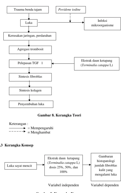 Gambar 8. Kerangka Teori