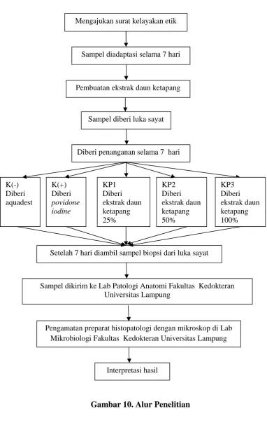 Gambar 10. Alur Penelitian