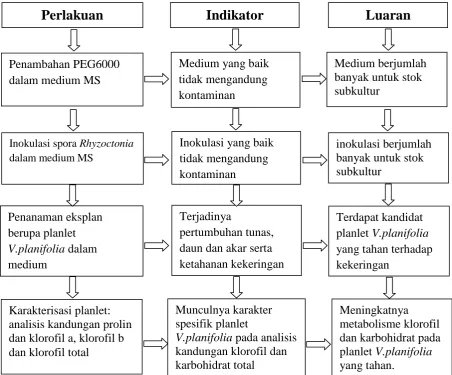Gambar 2. Bagan alir Penelitian