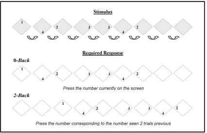 Figure 1. The nby a blank screen (ISI = 200 ms). Stimuli were presented in a pseudo-random sequence i.e