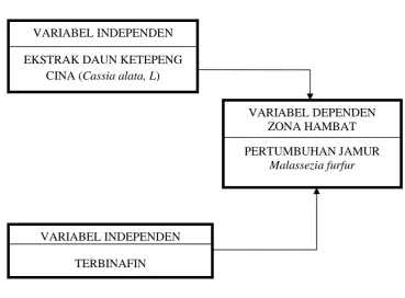 Gambar 6. Kerangka Konsep.