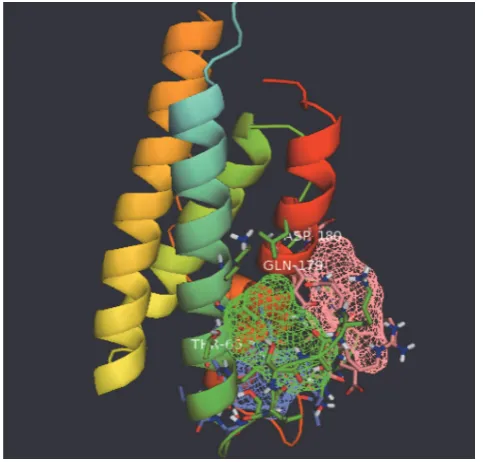 Fig. 2. The postulated 3D structure of the most deleteriousmissense SNPs in bovine leptin before and after mutation.A–C) branches highlight the involved amino acids in their wildtypes and mutant forms, respectively