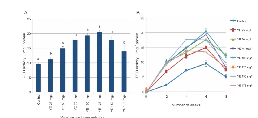 Fig. 7. A) Effect of different concentrations of YE treatment on 2,2-diphenyl-1-picrylhydrazyl scavenging activity; B) time-coursechanges in radical scavenging activity at different concentrations of YE; values represent mean ± SD values marked with differentletters are significantly different from each other and from the control