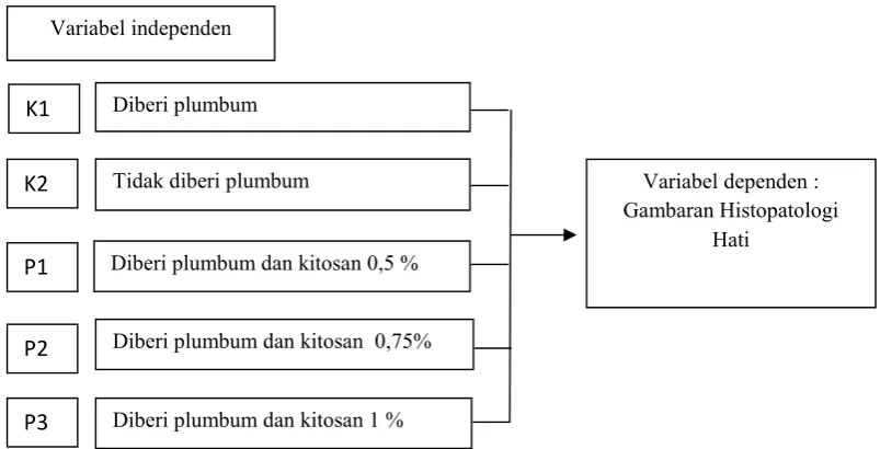 Gambaran Histopatologi