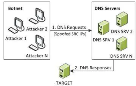 Fig 1.1: DoS attacks classified by exploited vulnerabilities 