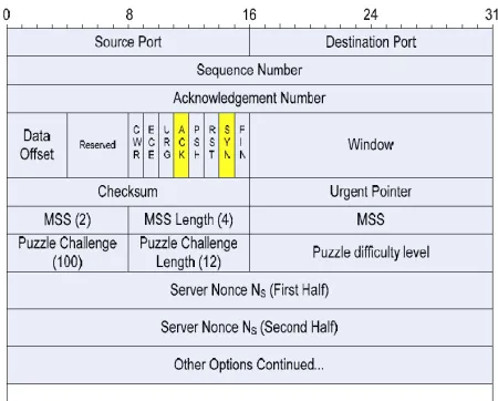 Fig 3.4: Puzzle challenge packet 