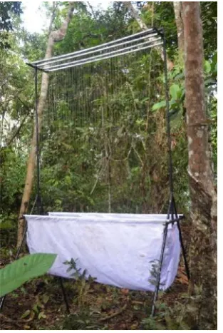 Gambar 6. Harp Trap