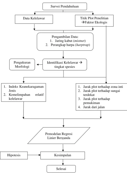 Gambar 8. Prosedur penelitian