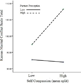 Figure 1. Main effects and interaction between the KMCS and self-compassion. 