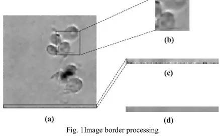 Fig. 1Image border processing 