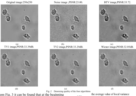 Fig. 2  Denoising quality of the four algorithms 