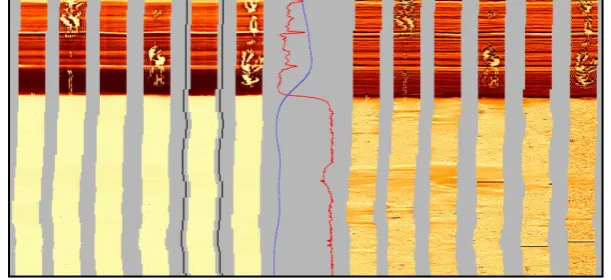 Gambar. 2.11. Hydrocarbon Entry dalam OMRI Image (Halliburton, 2011) 