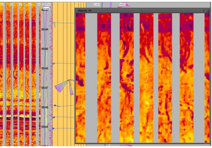 Gambar. 2.12. Burrowing structure pada OMRI Image (Halliburton, 2011) 