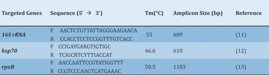 Table 1) Characteristics of primers used in this study