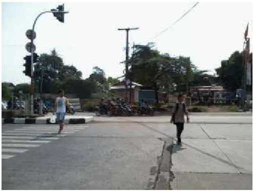 Fig. 1 Irregularities in the park on the road