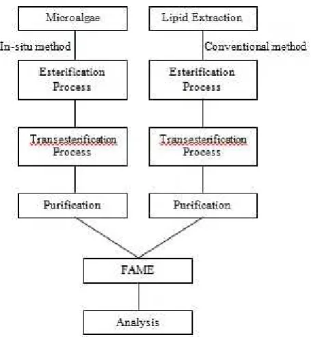Fig. 1. Flow chart of fame processing