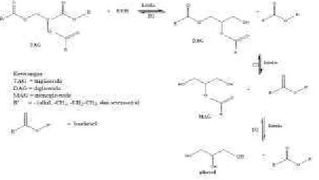 Fig.  5. The mechanism of transesterification reaction with base catalyst [6].