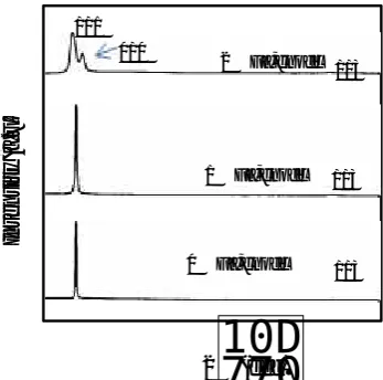 Fig. 1. X-ray diffraction patterns for ZnO:Ga thin films deposited at different Ga concentrations.