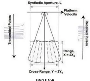 Figure 1: SAR   