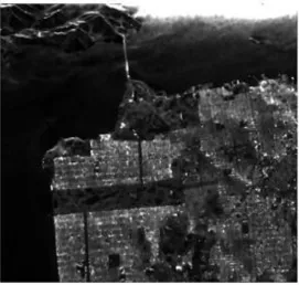 Figure 5: Original Image 