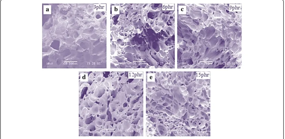 Fig. 2 Effect of the amount of blowing agent on the microstructure of rubber