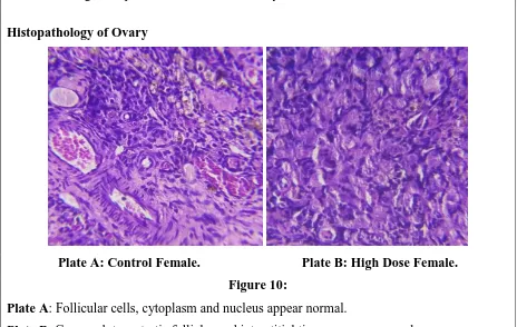 Plate AFigure 9: : Appearance of endometrium, myometrium and uterine glands was normal
