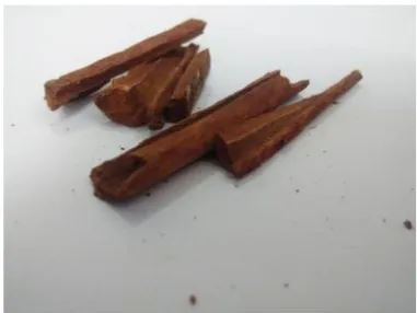 Gambar 3. Kayu Manis