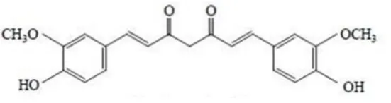 Gambar 6. Kurkuminoid ( Du et al., 2006)