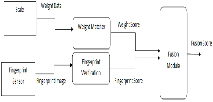 Figure 1. Fusion of Soft biometrics and primary biometrics  