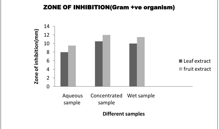 Fig 5: Graph Showing Zone Of Inhibition Of Leaf And Fruit Extract Against staphylococcus aureus 