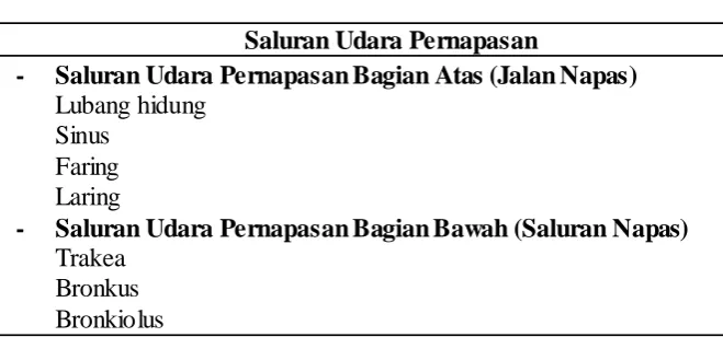 Tabel 2. Struktur Utama Sistem Pernapasan