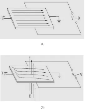 Gambar 2.4 : Prinsip dari Hall Effect.[15] 