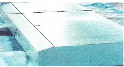 Gambar 3.1 Benda kerja magnesium
