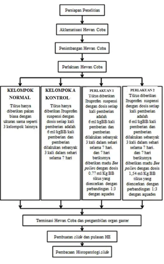 Gambar 11. Diagram alir. 