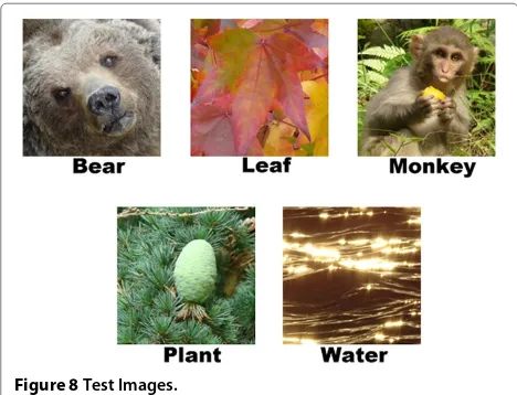 Figure 8 Test Images.