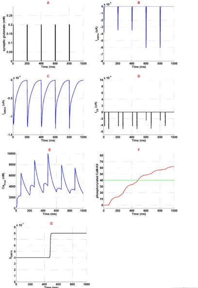 Figure 3. Activation of different neural components in the presence of 1 µM opioid