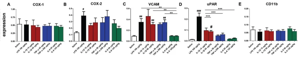 Figure 6.  Impact of systemic LPS, IL-1β, TNF-α and IL-6 challenge on cyclooxygenases and cell markers