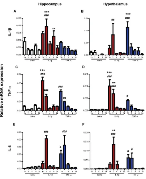 Figure 8.  Impact of systemic IL-1β and TNF-α challenge on