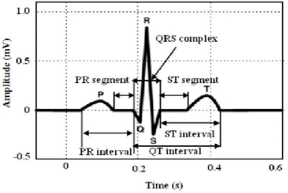 Figure 1: ECG Signal   