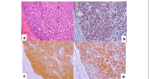 Fig. 4 Macroscopic findings of the resected mass (a size 80 × 55 × 25 mm). The cut surface revealed a white solid tumor within the skeletalmuscle