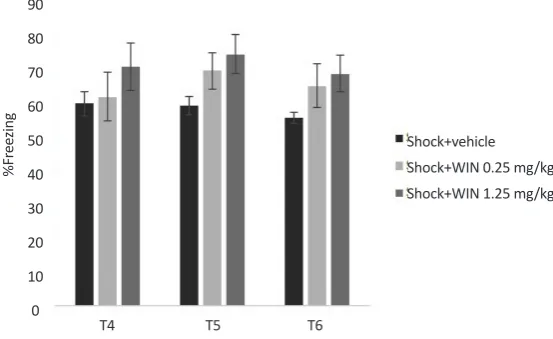 Figure 4. Stability of the cannabinoid agonist WIN effects on contextual fear memory extinction in SPS groups