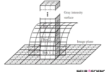 Figure. 2. Sketch of determination of the number of boxes by the DBC method (Li et al., 2009).
