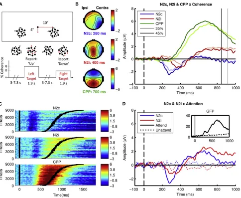 Figure 1. Unpredictable Task-Relevant Feature Changes Elicit a Temporo-occipital Selection Signal Prior to Neural Evidence Accumulation(A) Experimental setup for the bilateral dots paradigm