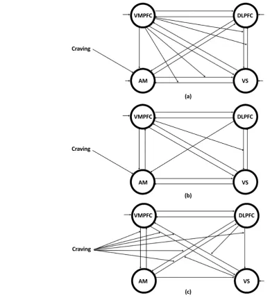 Figure 4. The DCM network structure for three groups; (a) the final network for ABT group, (b) The final network for MMT group, and (c) The final network for the control group.