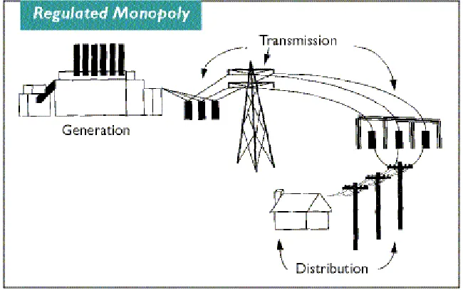 Figure 1: Regulated Electric Market  