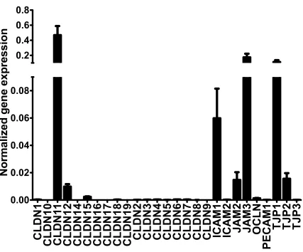 Figure 2.2: Microarray expression profile of junctional proteins in human SCEC. 