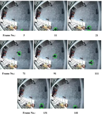 Figure 2: Tracking Results using Proposed Algorithm 