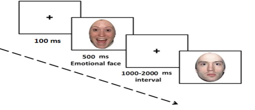 Figure 1. Illustration of the time course of stimulus presentation for overt condition
